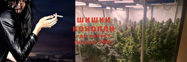 ПСИЛОЦИБИНОВЫЕ ГРИБЫ Арсеньев