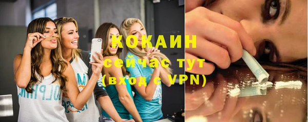 ПСИЛОЦИБИНОВЫЕ ГРИБЫ Арсеньев